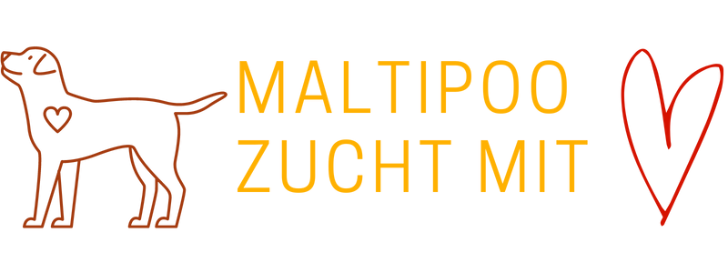 Maltipoos aus dem Sauerland