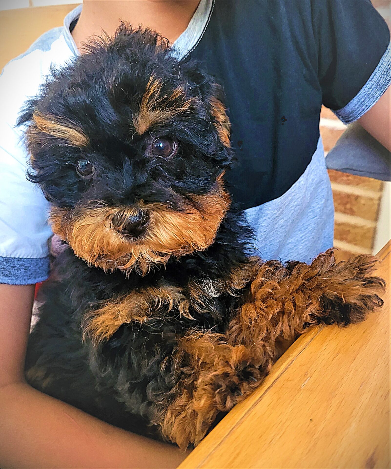 malitpoo-familie-1