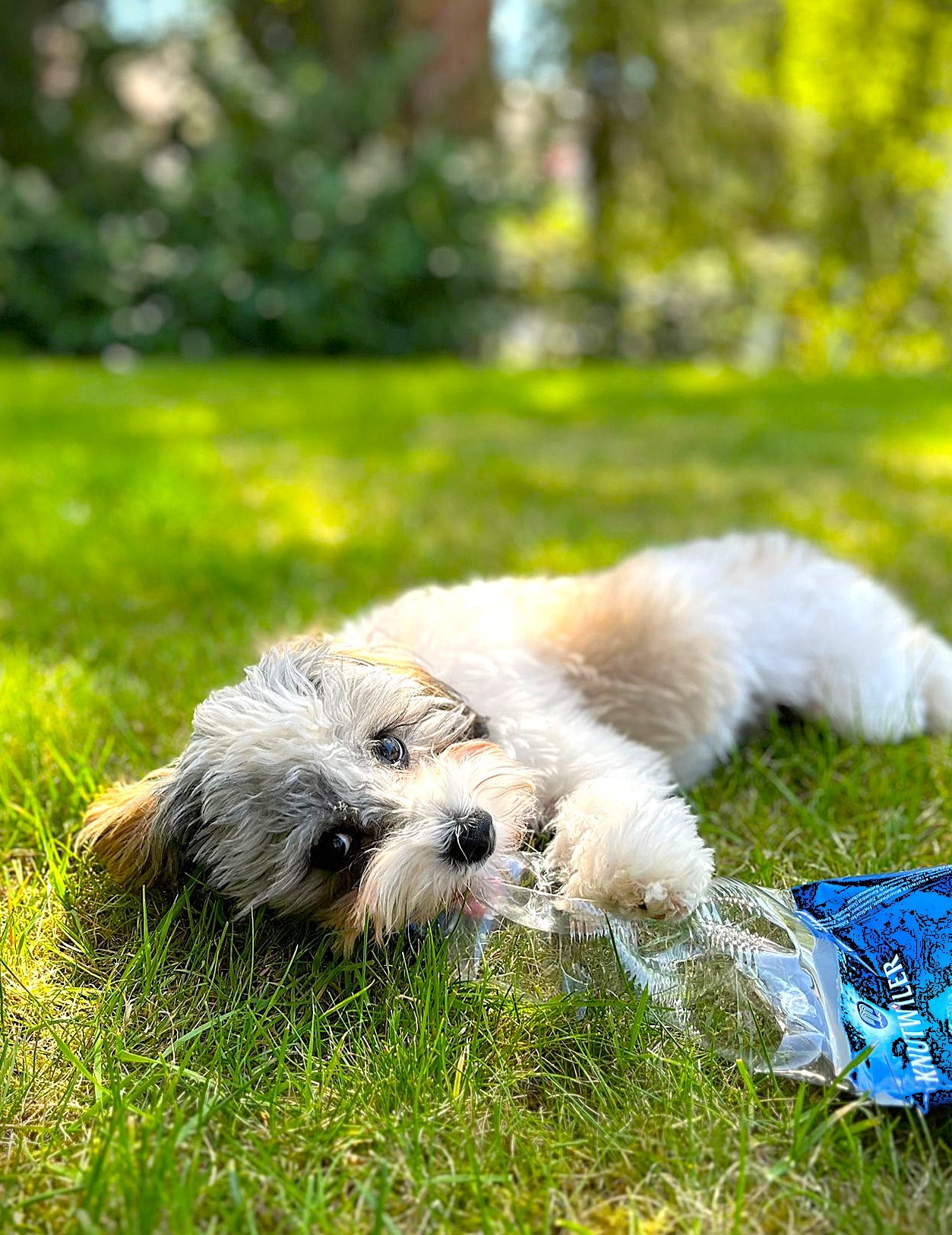 malitpoo-familie-6